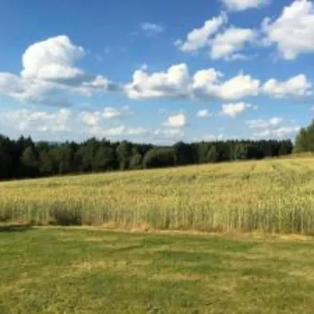 Modern In Bavaria With Garden Daire