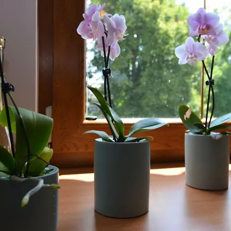 Modern In Bavaria With Garden Eslarn